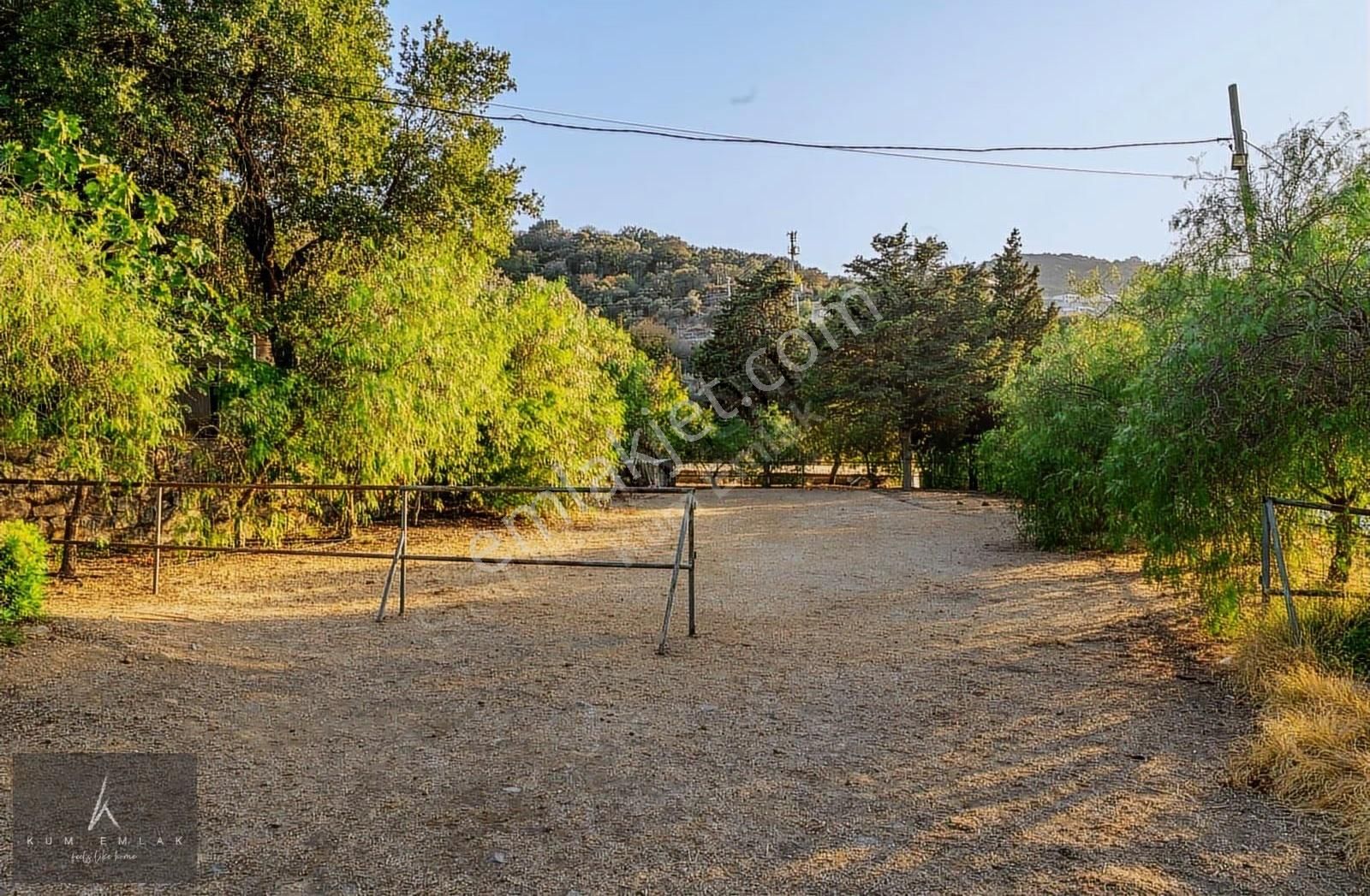 Yalıkavak'ta 6231m2 Çiftlik Ve 5 Parselde Toplam 34.688m2 Arazi - Görsel 19