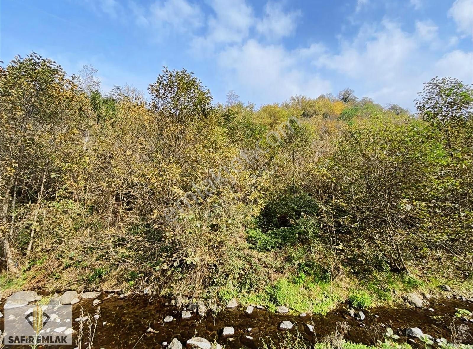 Safir'den Perşembe Medreseönünde Satılık 10.109m2 Fınfık Bahçesi - Görsel 2