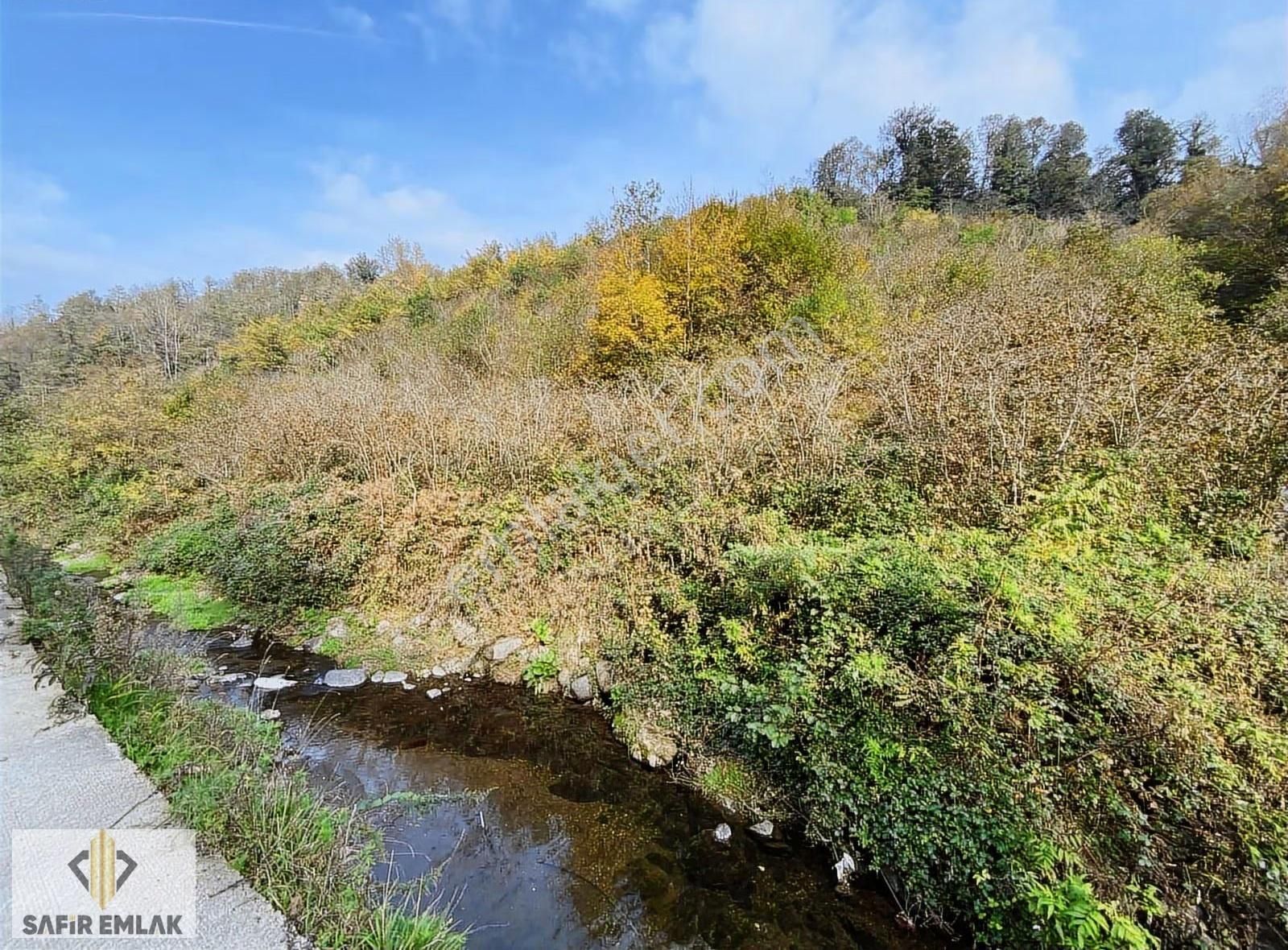 Safir'den Perşembe Medreseönünde Satılık 10.109m2 Fınfık Bahçesi - Görsel 5