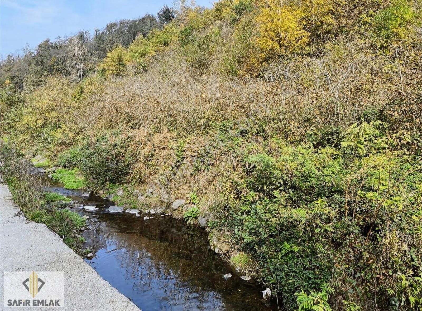 Safir'den Perşembe Medreseönünde Satılık 10.109m2 Fınfık Bahçesi - Görsel 7