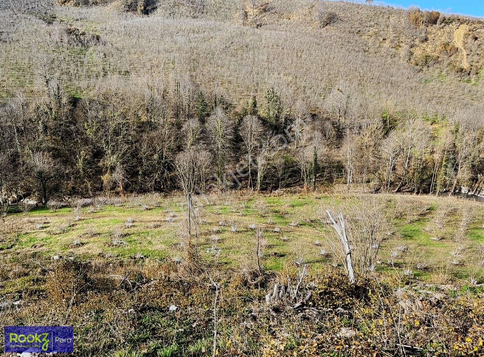 Karasu Paralı Mah. Dere Kenarında Emsalsiz Tarla Ve Fındıklık - Görsel 6