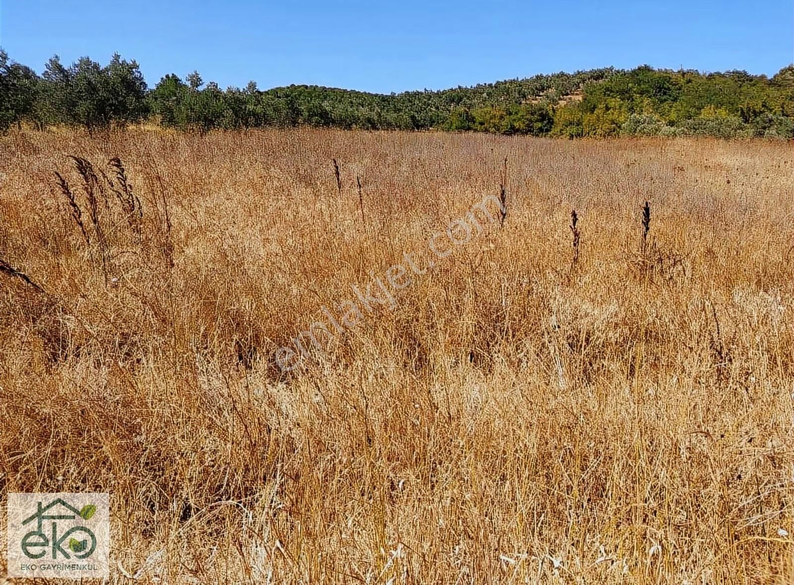 Bursa Teknosab Mudanya Evciler'de Satılık 2.201 M² Fırsat Arazi - Görsel 18