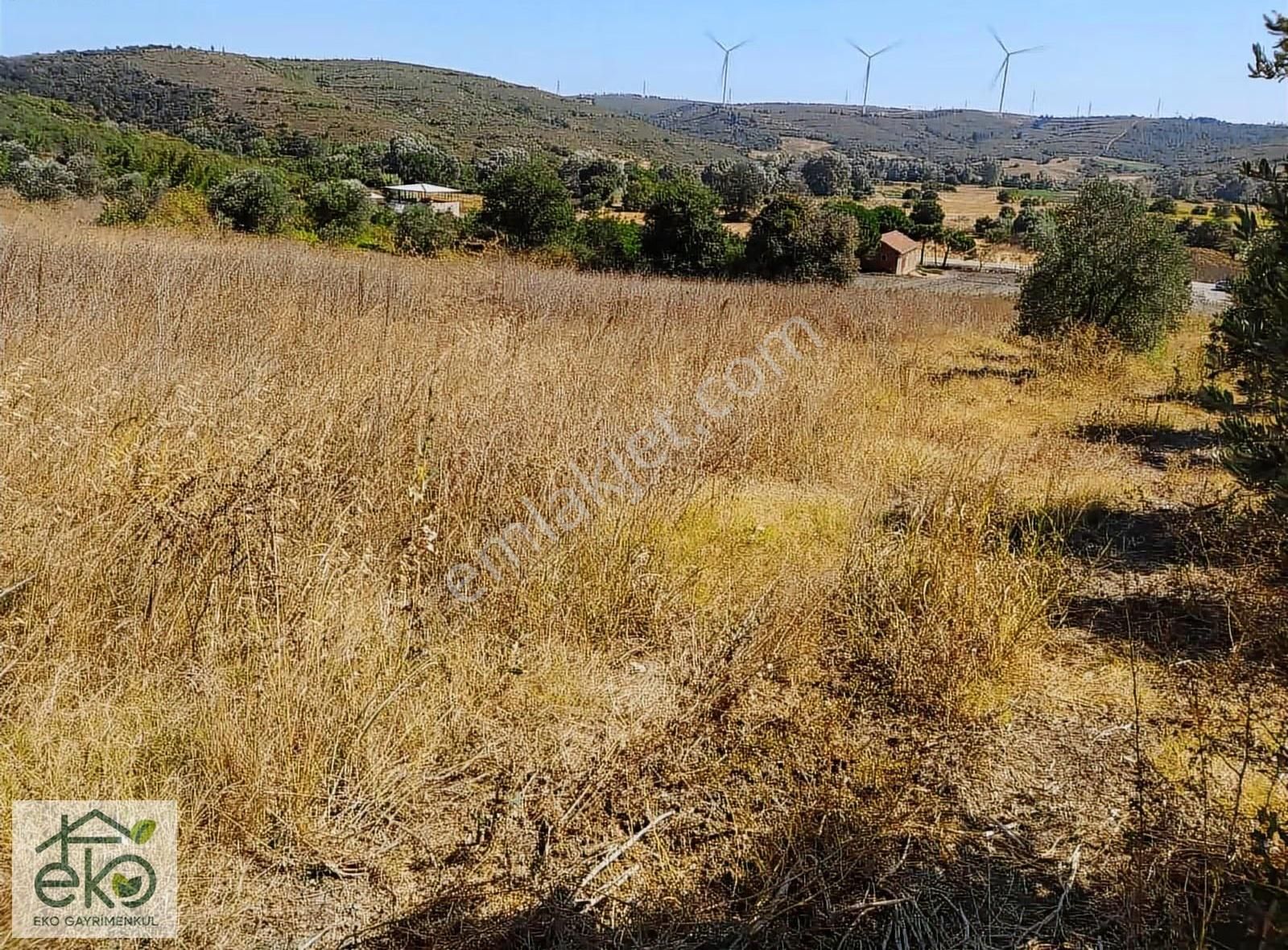 Bursa Teknosab Mudanya Evciler'de Satılık 2.201 M² Fırsat Arazi - Görsel 9