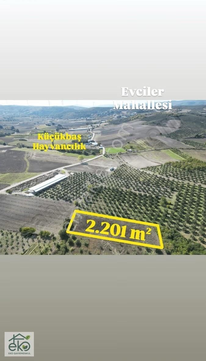 Bursa Teknosab Mudanya Evciler'de Satılık 2.201 M² Fırsat Arazi - Görsel 24