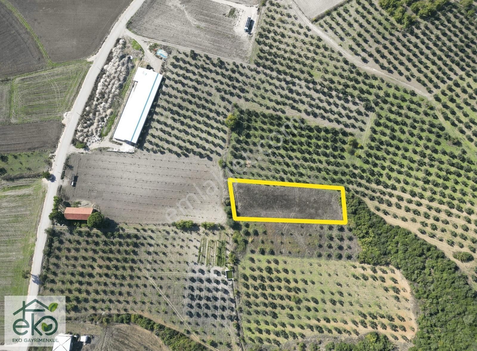 Bursa Teknosab Mudanya Evciler'de Satılık 2.201 M² Fırsat Arazi - Görsel 5