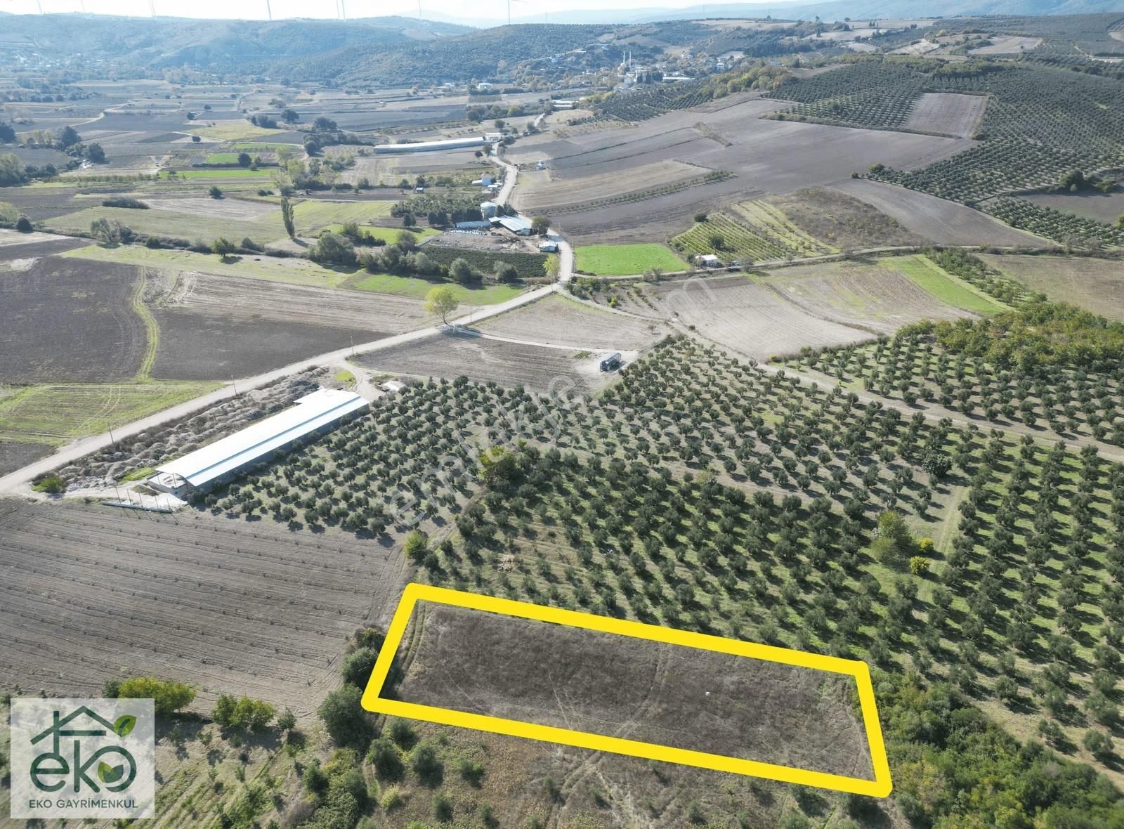 Bursa Teknosab Mudanya Evciler'de Satılık 2.201 M² Fırsat Arazi - Görsel 20