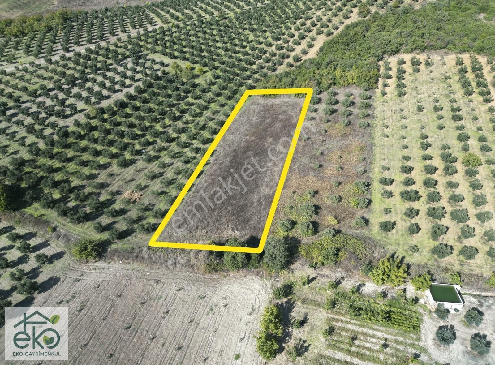 Bursa Teknosab Mudanya Evciler'de Satılık 2.201 M² Fırsat Arazi - Görsel 21