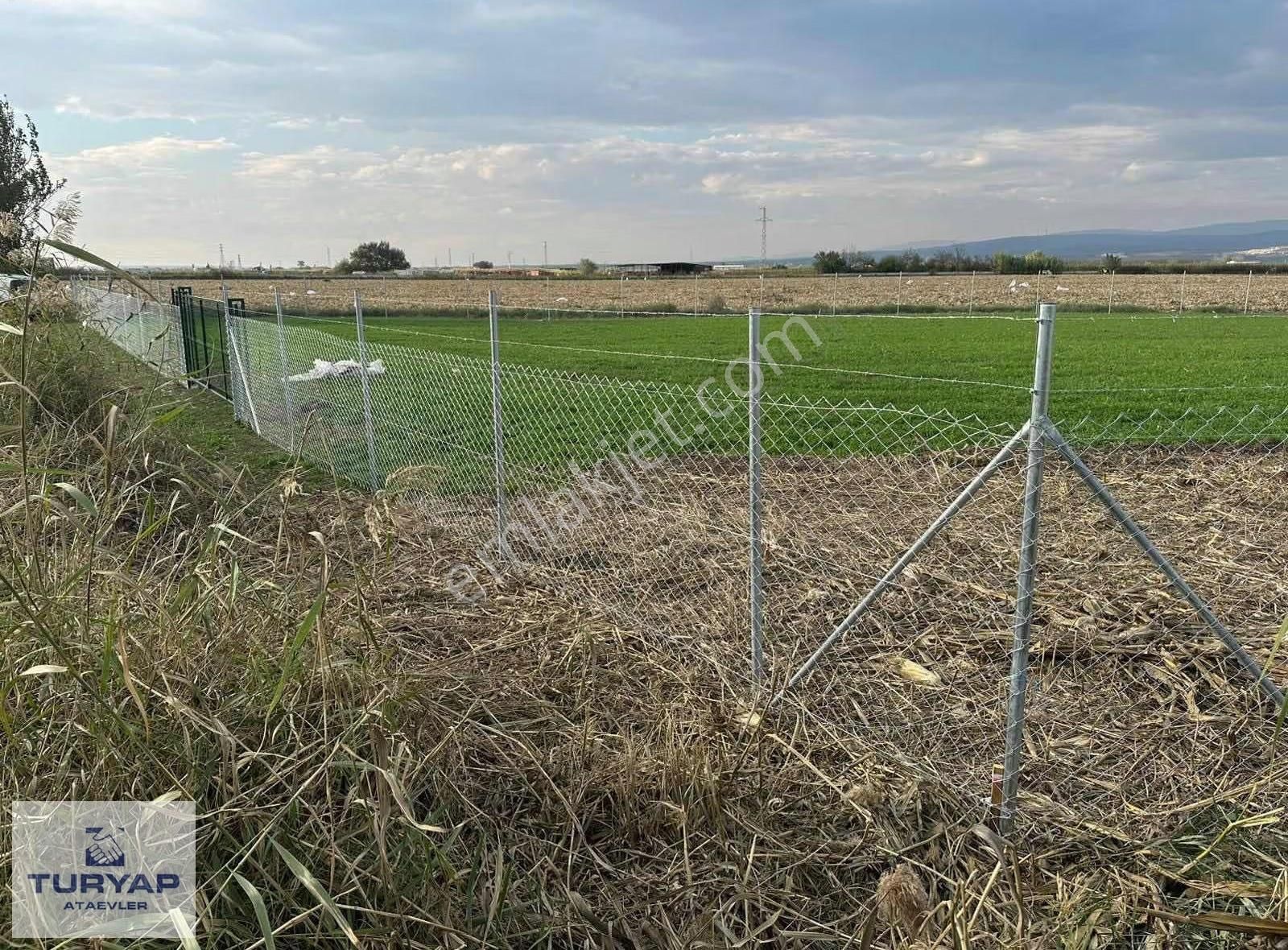 Turyap`tan Karacabey Canbalı`da Satılık 4.973m2 Yatırımlık Arazi - Görsel 13