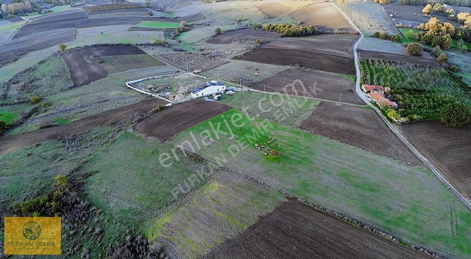 Furkan Demir'den Karamürsel Kızderbent'de 5363 M2 Satılık Tarla - Görsel 2