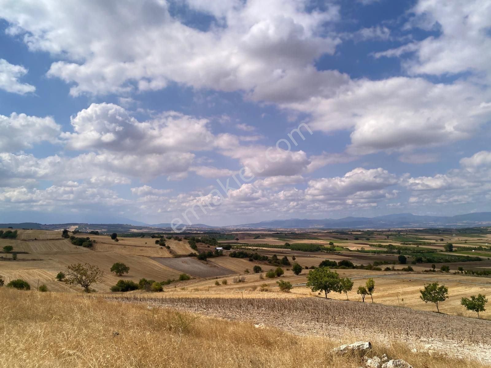 Bursa Yenişehir Çiçeközü 2458 M2 Satılık Tarla - Görsel 10