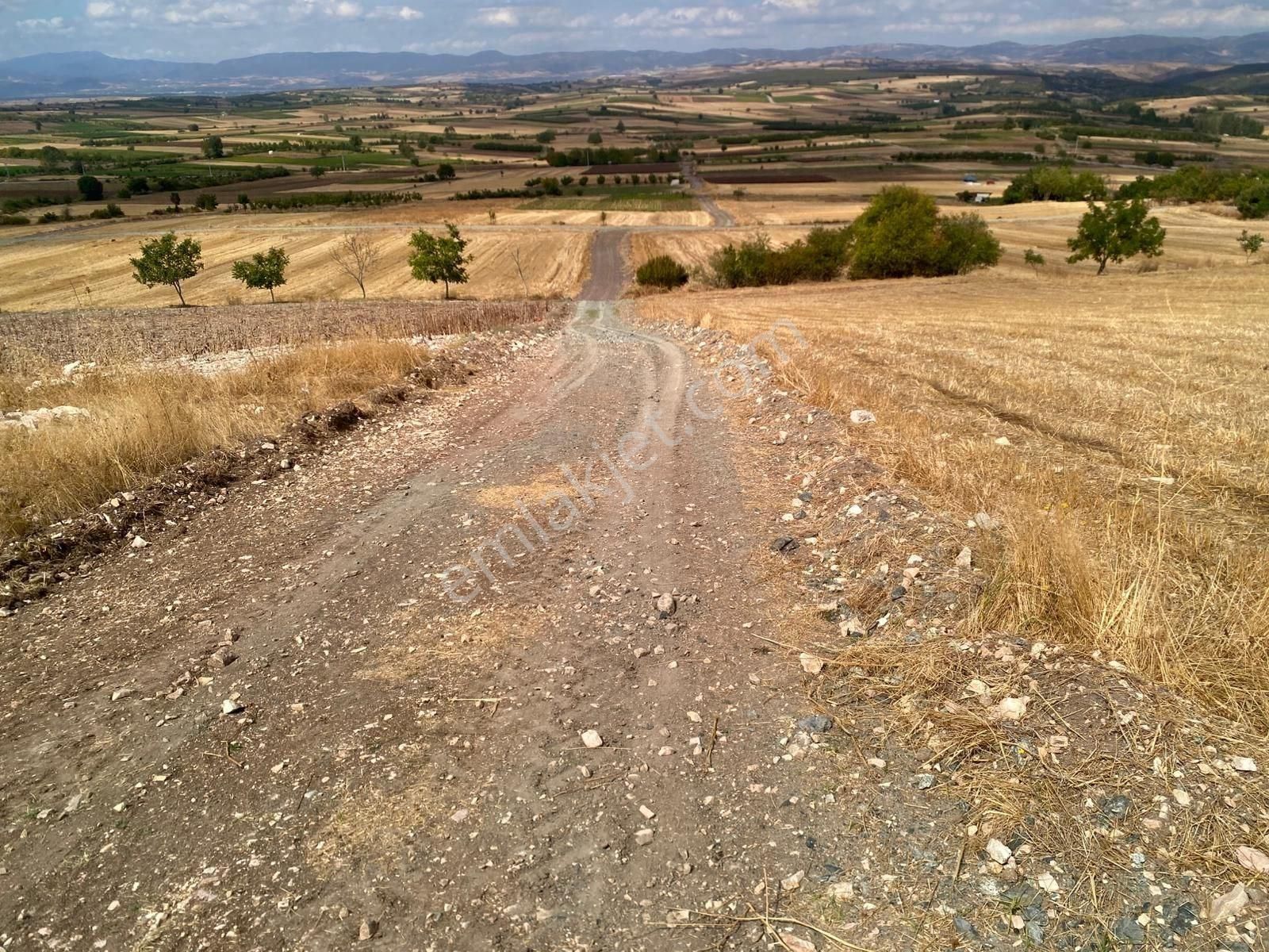 Bursa Yenişehir Çiçeközü 2458 M2 Satılık Tarla - Görsel 8