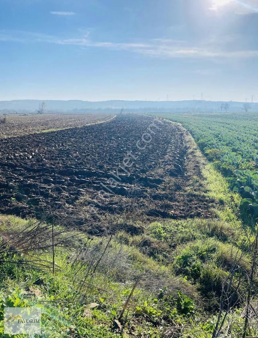 Karacabey Çarık Köyde Satılık Yola Cephe Tarla - Görsel 2