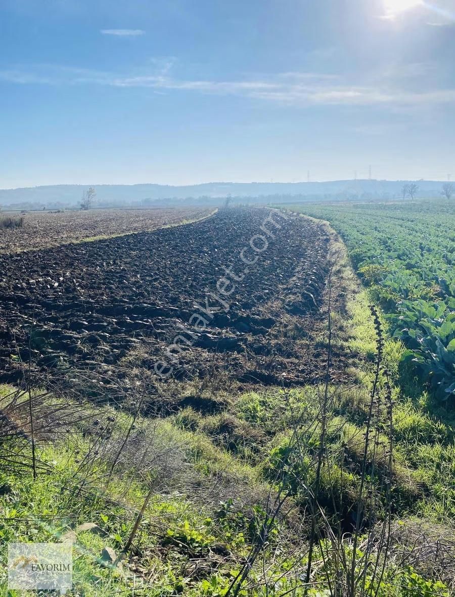 Karacabey Çarık Köyde Satılık Yola Cephe Tarla - Görsel 7