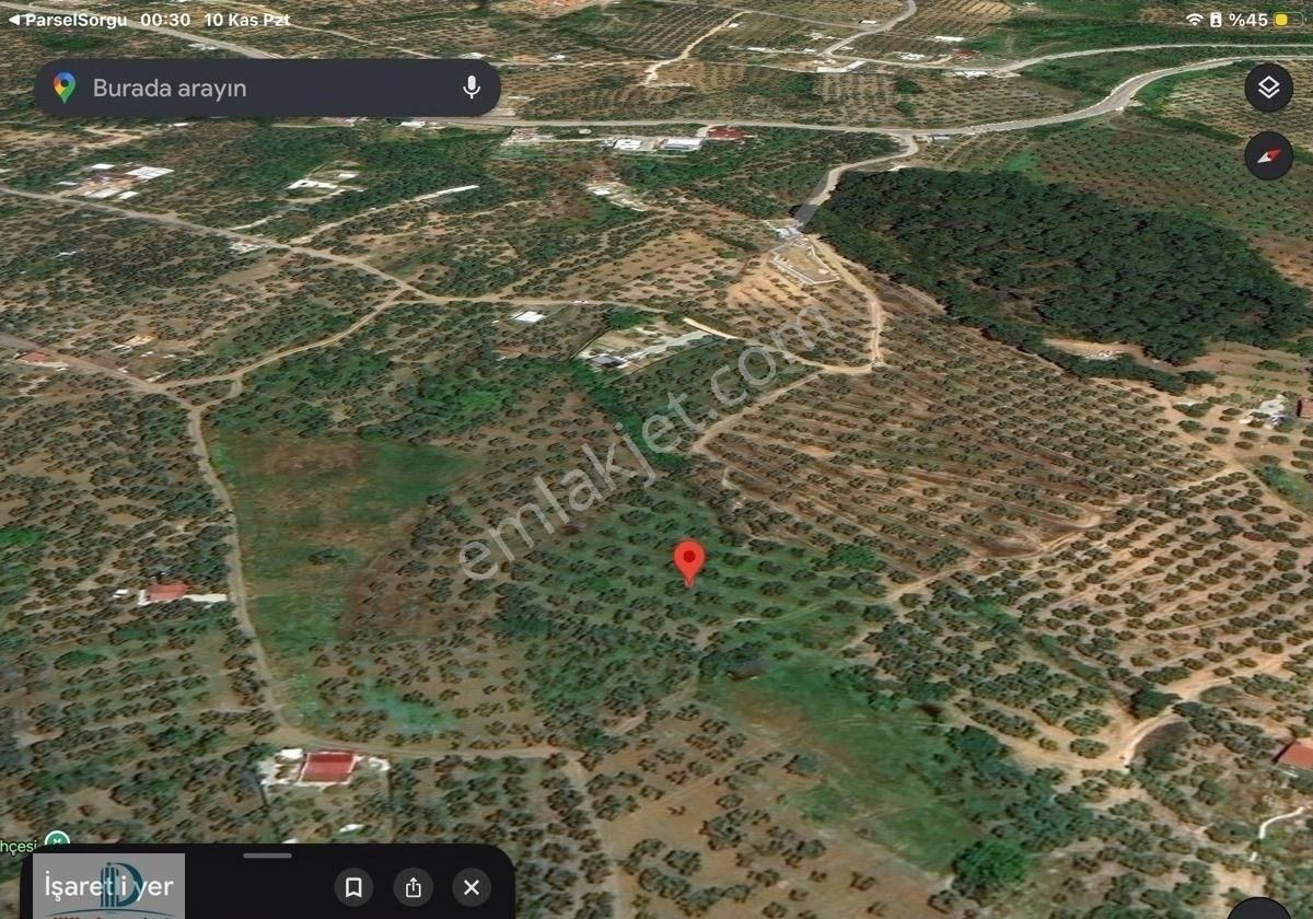 Dijitalemlak´tan Mudanya Çepnide Köy Yerleşime Yakın 3.5 Dönüm Satılık Zeytinlik. - Görsel 2