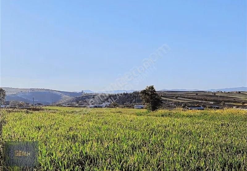 Semih'den Mahmudiyede Köy Yanı Mükemmel Konumda Arazi - Görsel 5