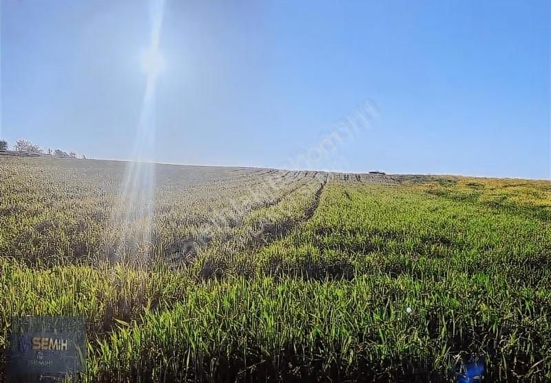 Semih'den Mahmudiyede Köy Yanı Mükemmel Konumda Arazi - Görsel 7