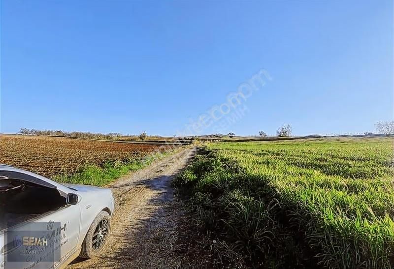 Semih'den Mahmudiyede Köy Yanı Mükemmel Konumda Arazi - Görsel 4