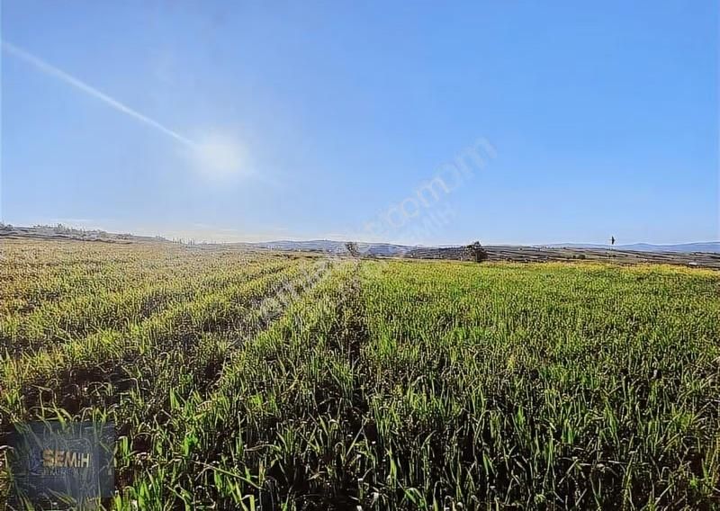 Semih'den Mahmudiyede Köy Yanı Mükemmel Konumda Arazi - Görsel 2