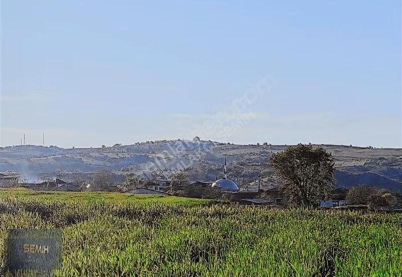 Semih'den Mahmudiyede Köy Yanı Mükemmel Konumda Arazi - Görsel 9