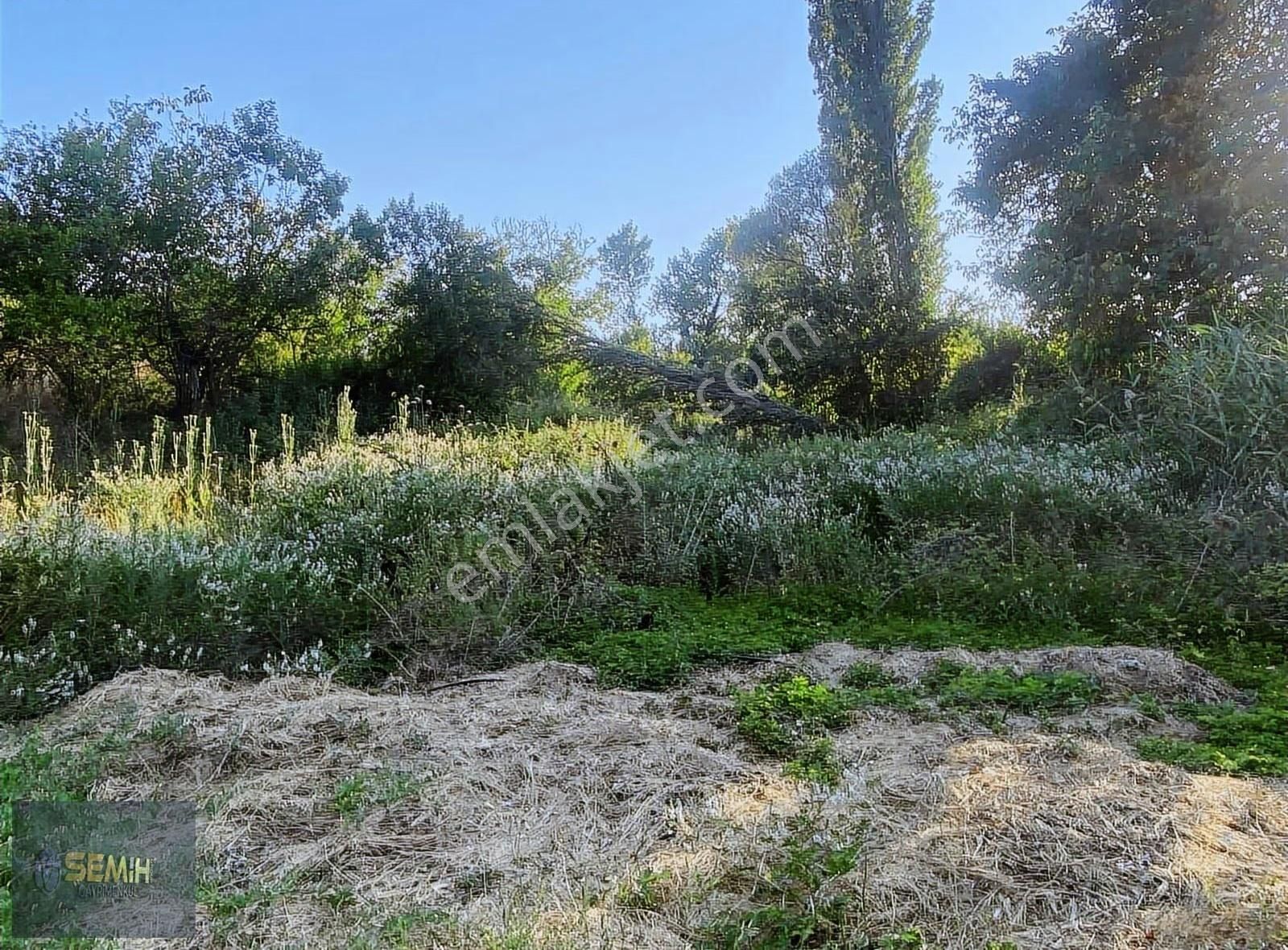 Semih'den Eğercede Yola Cephe 950 M2 Ekonomik Hobi Bahçesi - Görsel 3