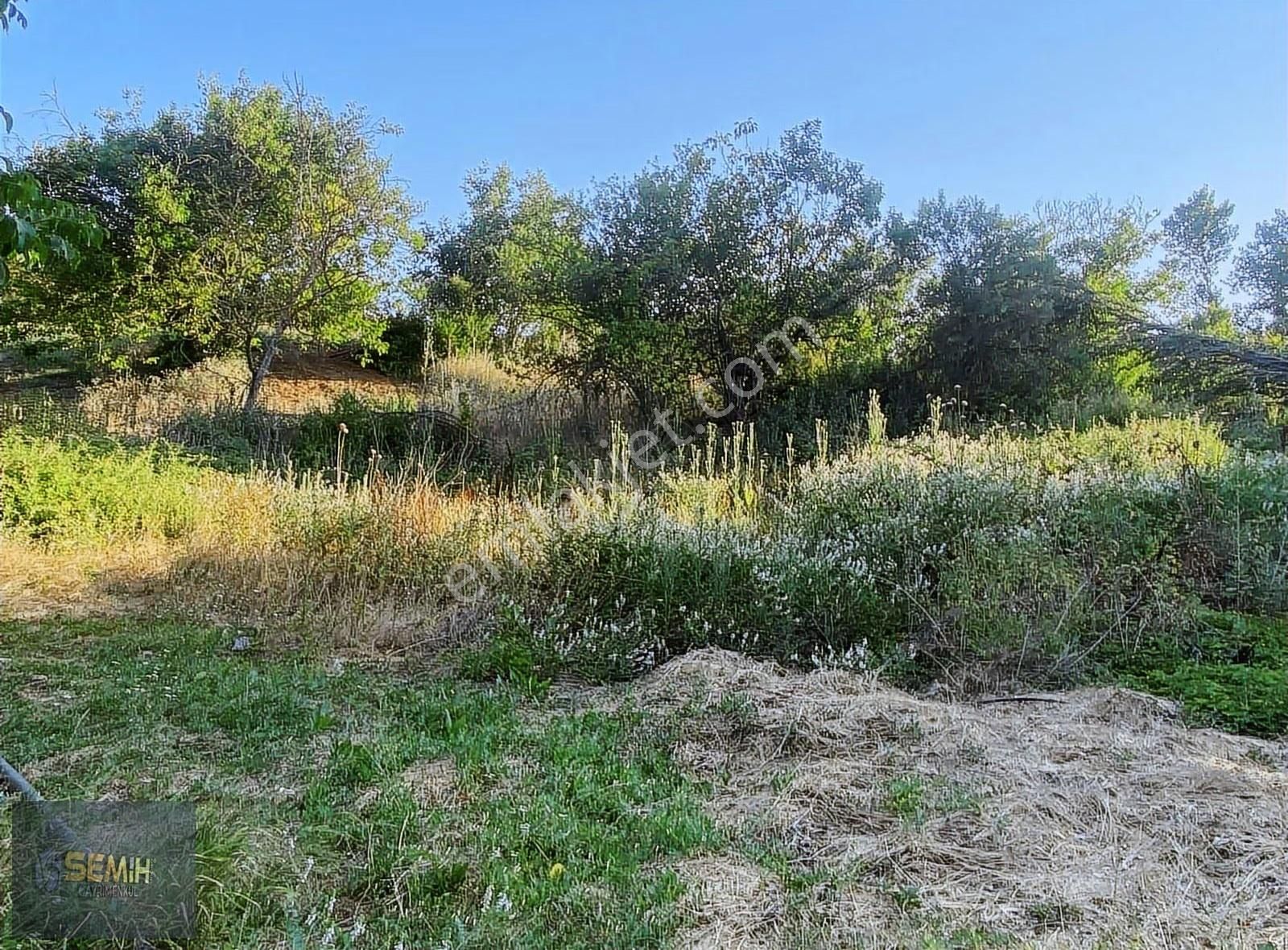 Semih'den Eğercede Yola Cephe 950 M2 Ekonomik Hobi Bahçesi