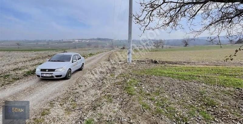 Semih'den Gökçesu Yol Su 14 Dönüm Kazandırıçak Misli Misli Arazi - Görsel 4