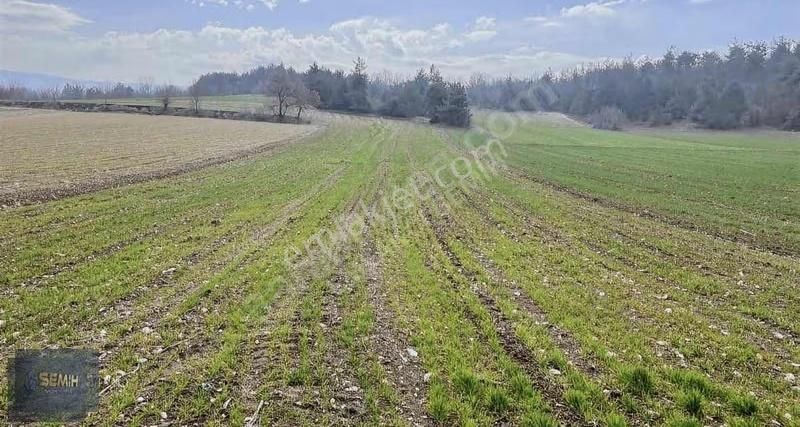 Semih'den Gökçesu Yol Su 14 Dönüm Kazandırıçak Misli Misli Arazi - Görsel 6