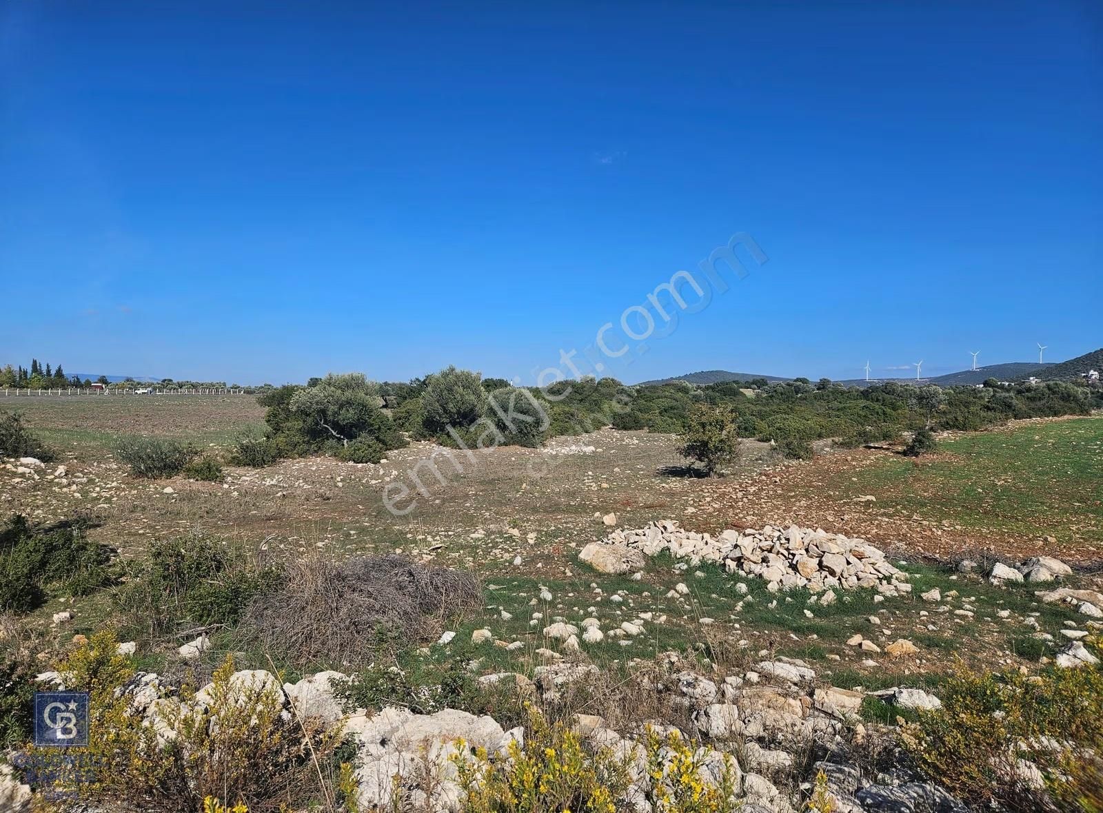 Didim Satılık 25.000 M2 Tarla 109.000.000 Tl - Görsel 3