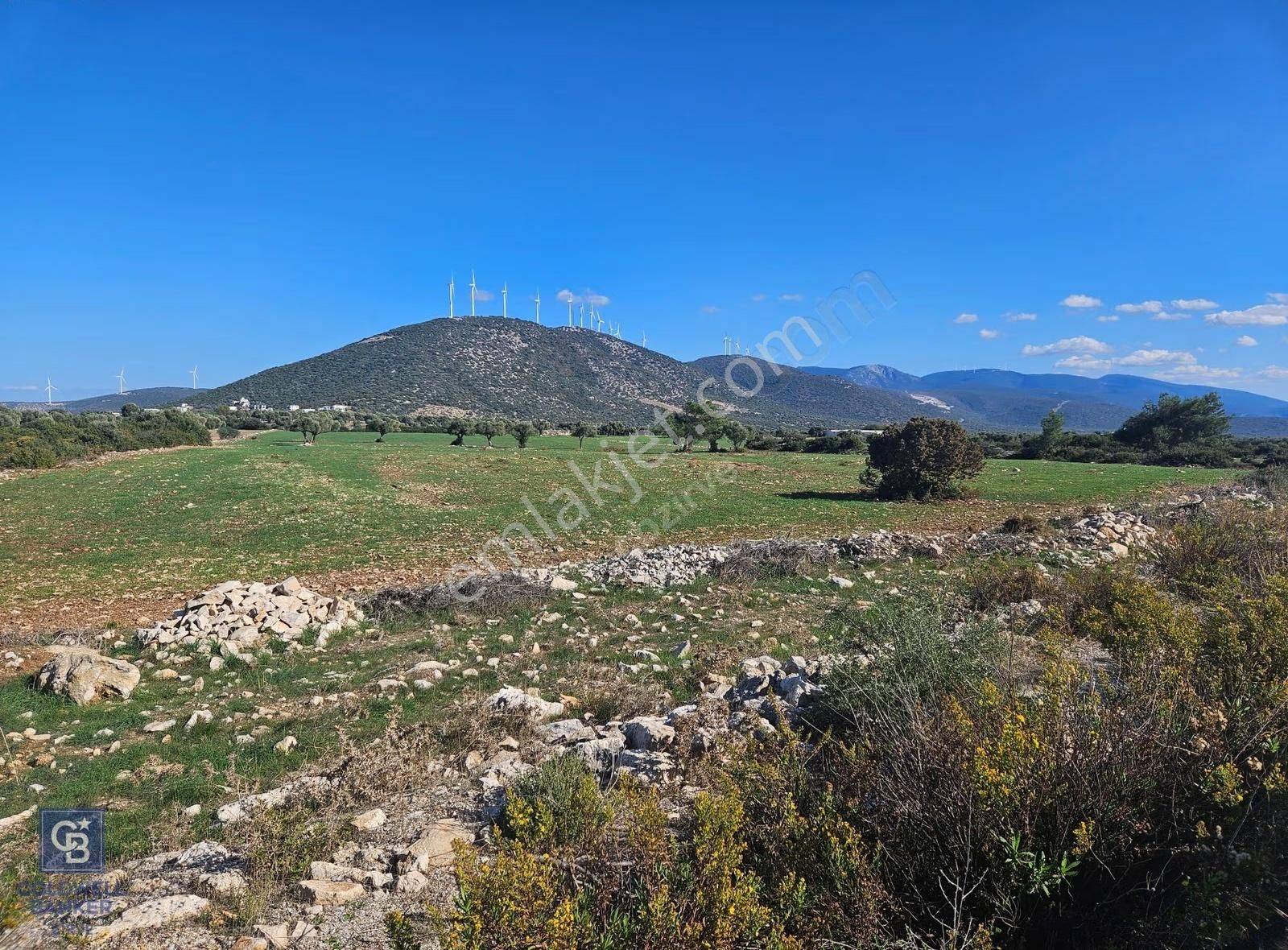 Didim Satılık 25.000 M2 Tarla 109.000.000 Tl - Görsel 19