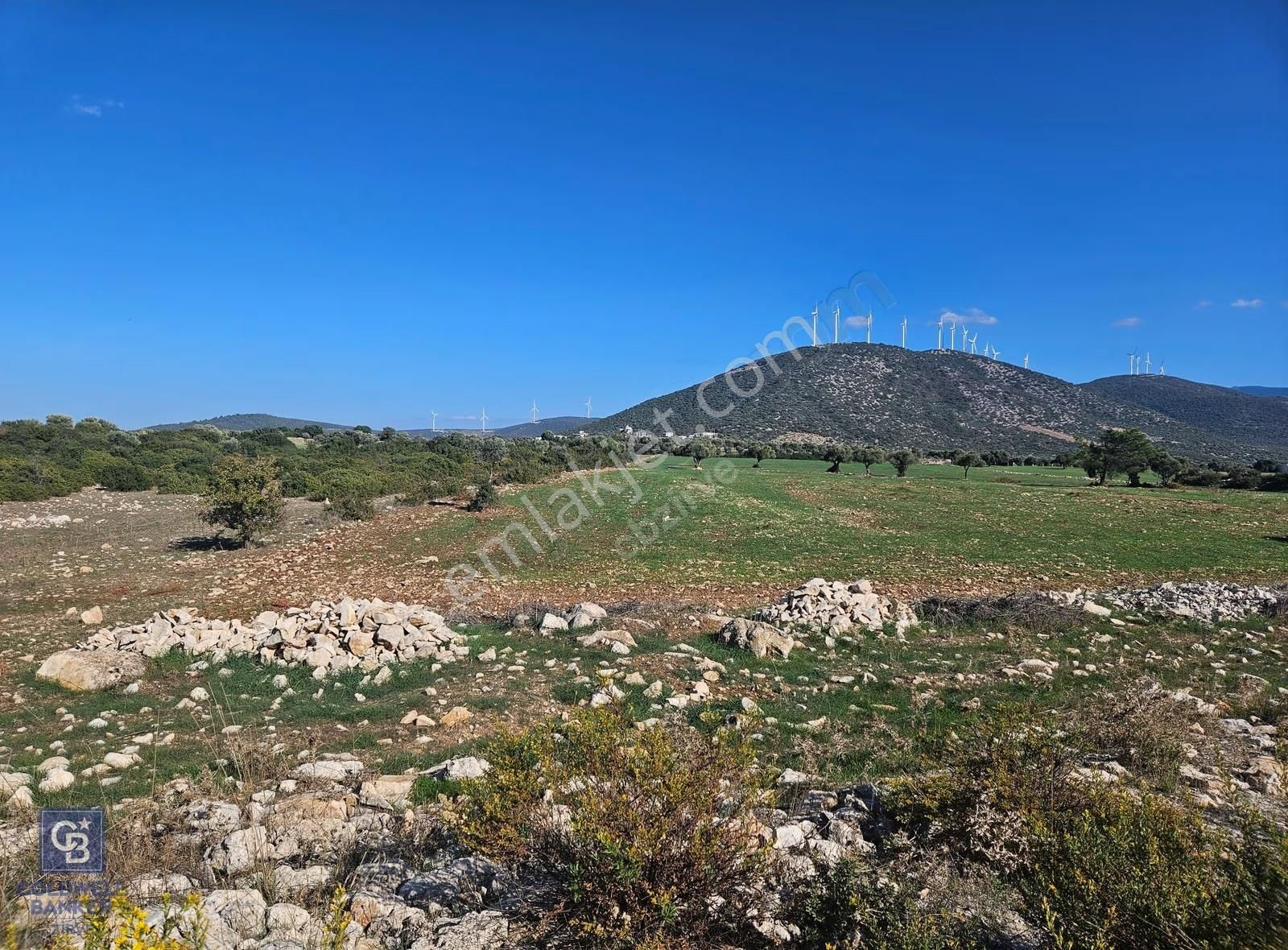 Didim Satılık 25.000 M2 Tarla 109.000.000 Tl - Görsel 14