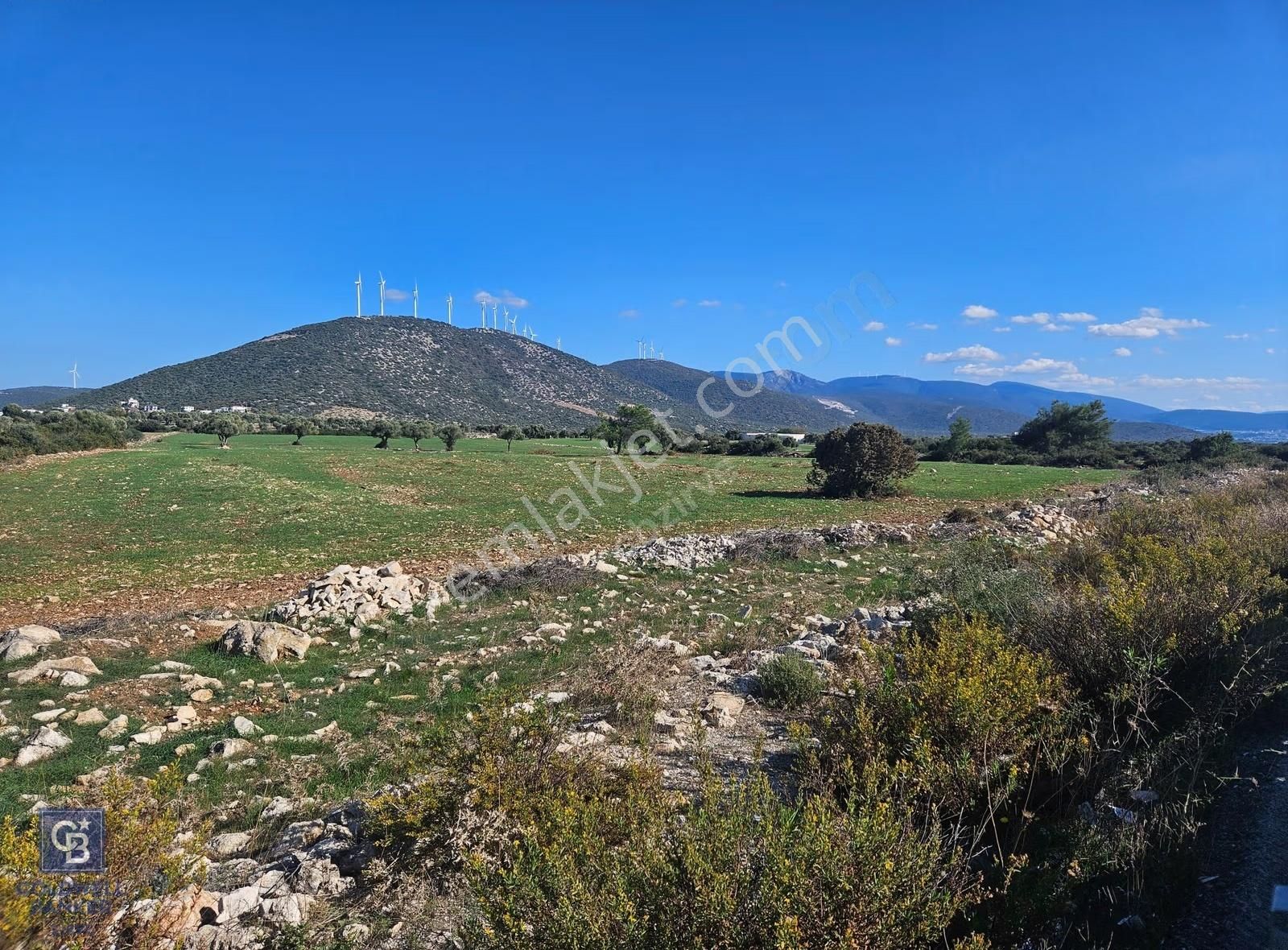 Didim Satılık 25.000 M2 Tarla 109.000.000 Tl - Görsel 28