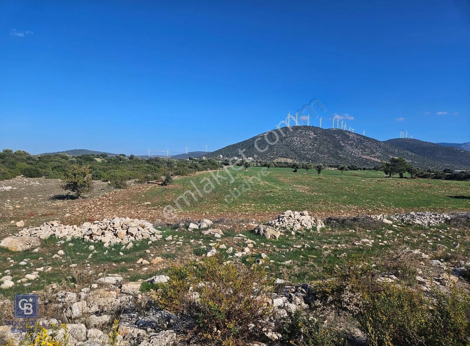 Didim Satılık 25.000 M2 Tarla 109.000.000 Tl - Görsel 20