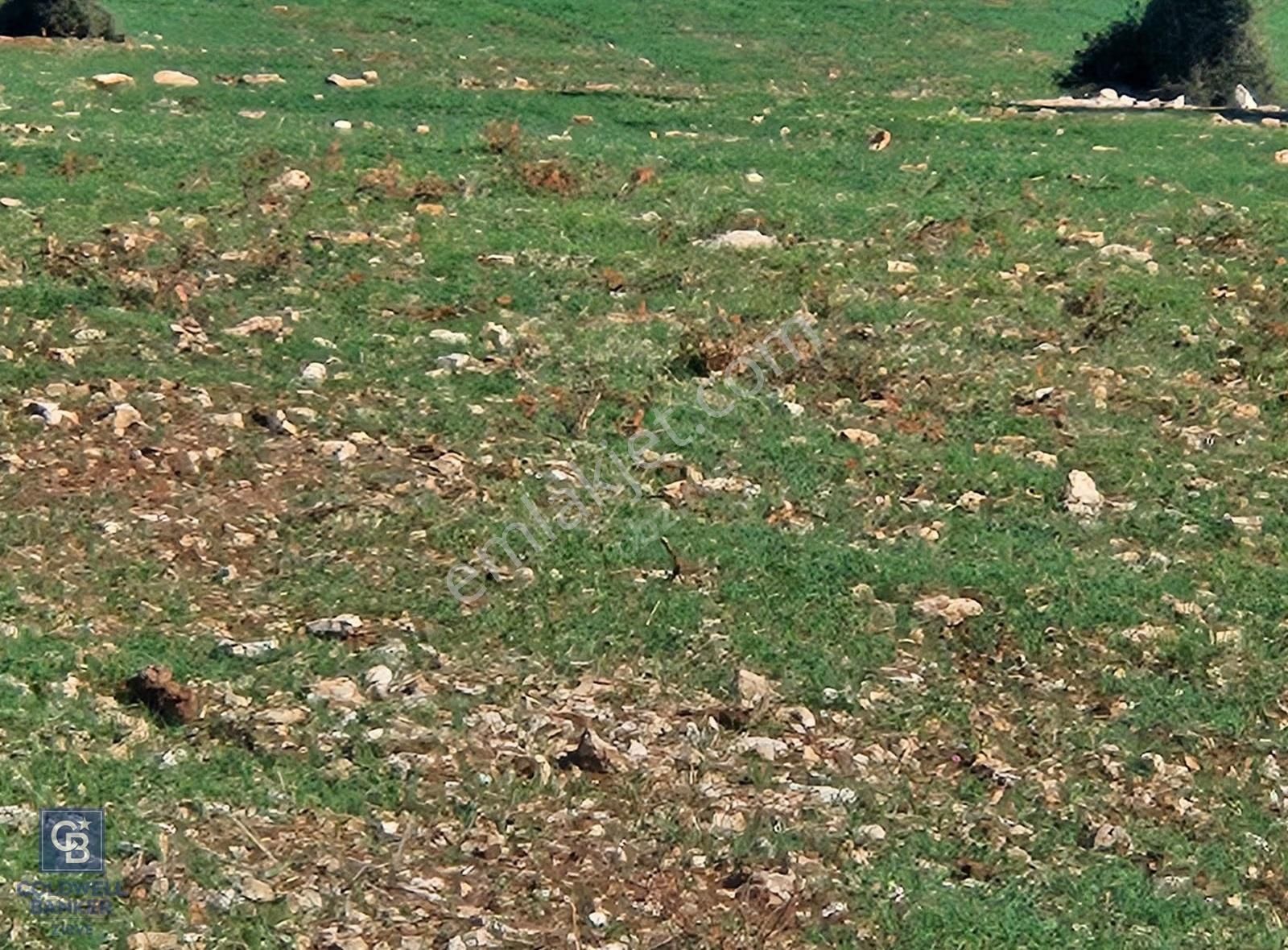 Didim Satılık 25.000 M2 Tarla 109.000.000 Tl - Görsel 11