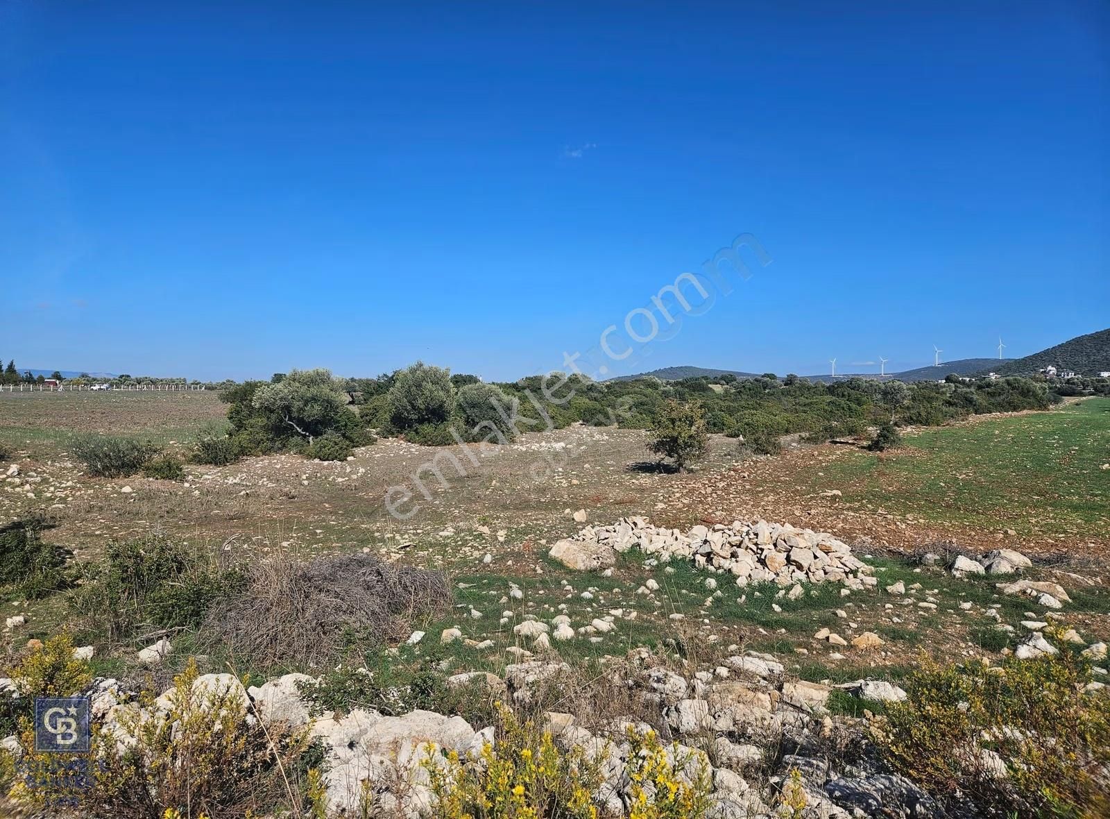 Didim Satılık 25.000 M2 Tarla 109.000.000 Tl - Görsel 9