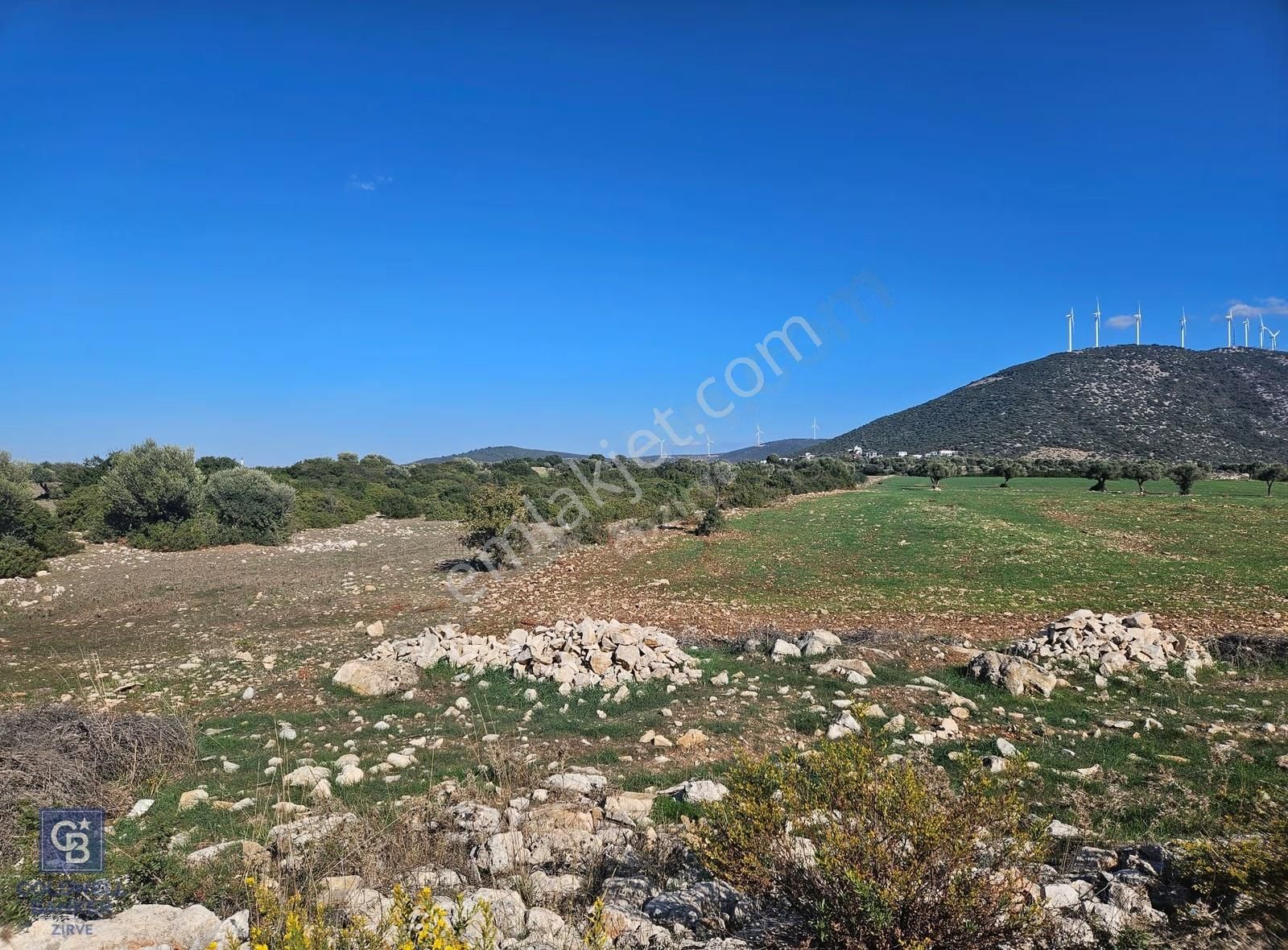 Didim Satılık 25.000 M2 Tarla 109.000.000 Tl - Görsel 7