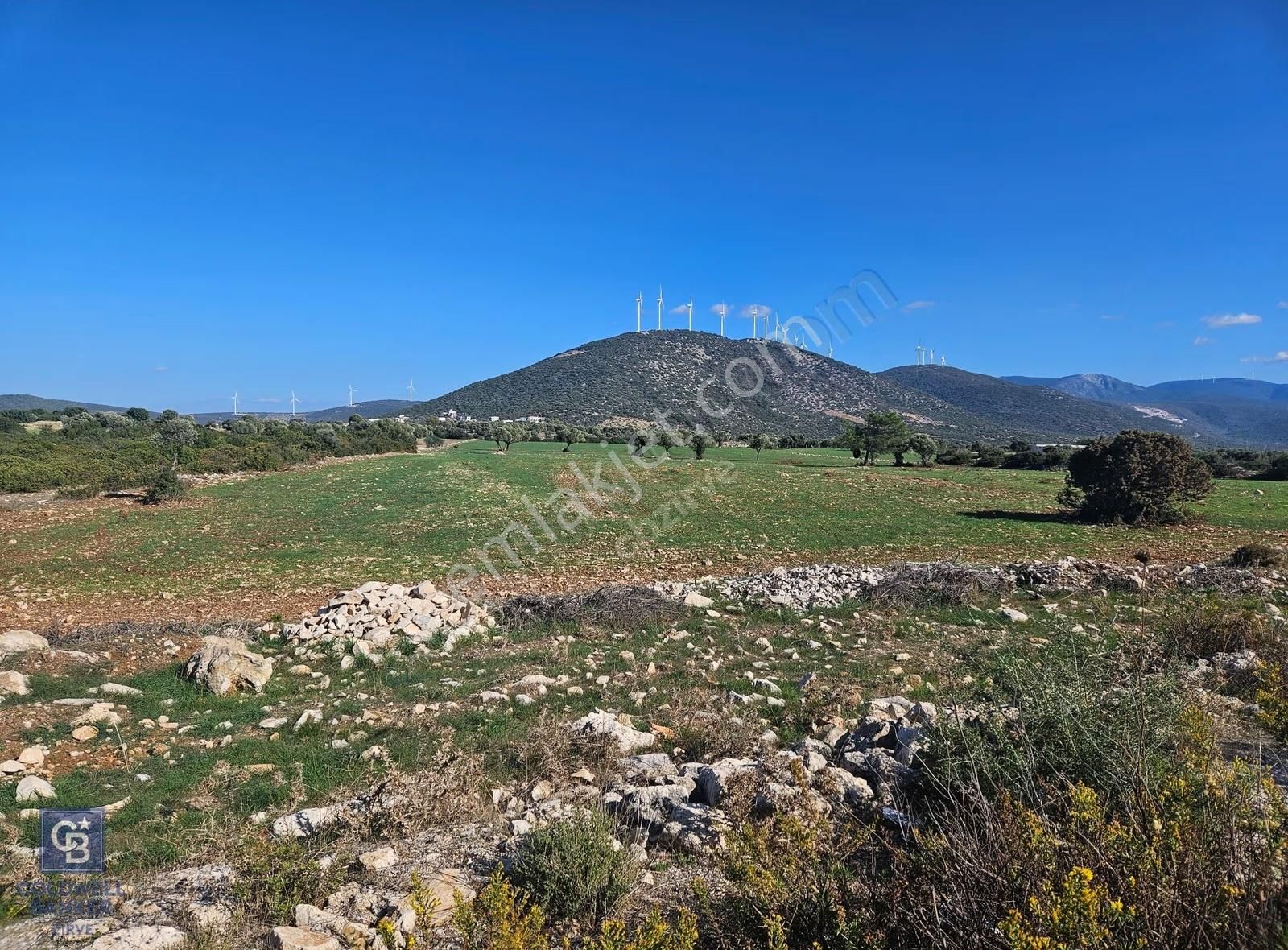 Didim Satılık 25.000 M2 Tarla 109.000.000 Tl - Görsel 34