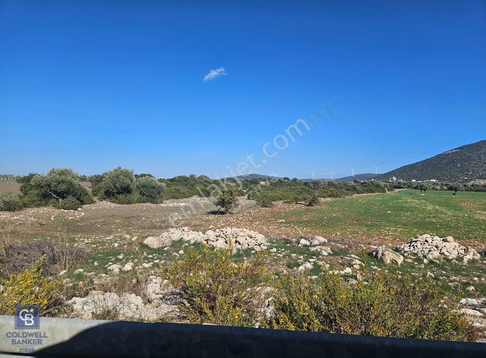 Didim Satılık 25.000 M2 Tarla 109.000.000 Tl - Görsel 29