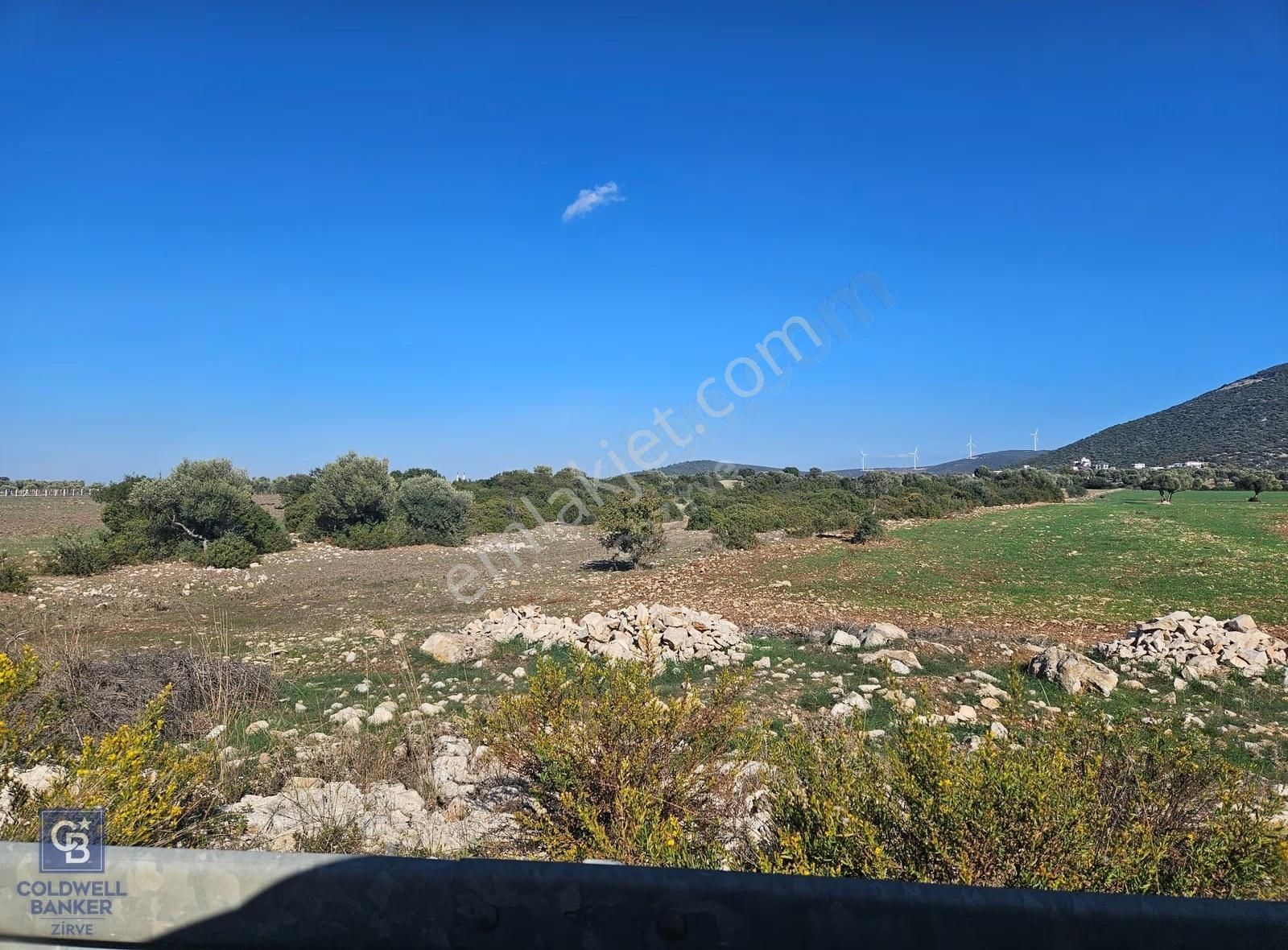 Didim Satılık 25.000 M2 Tarla 109.000.000 Tl - Görsel 23