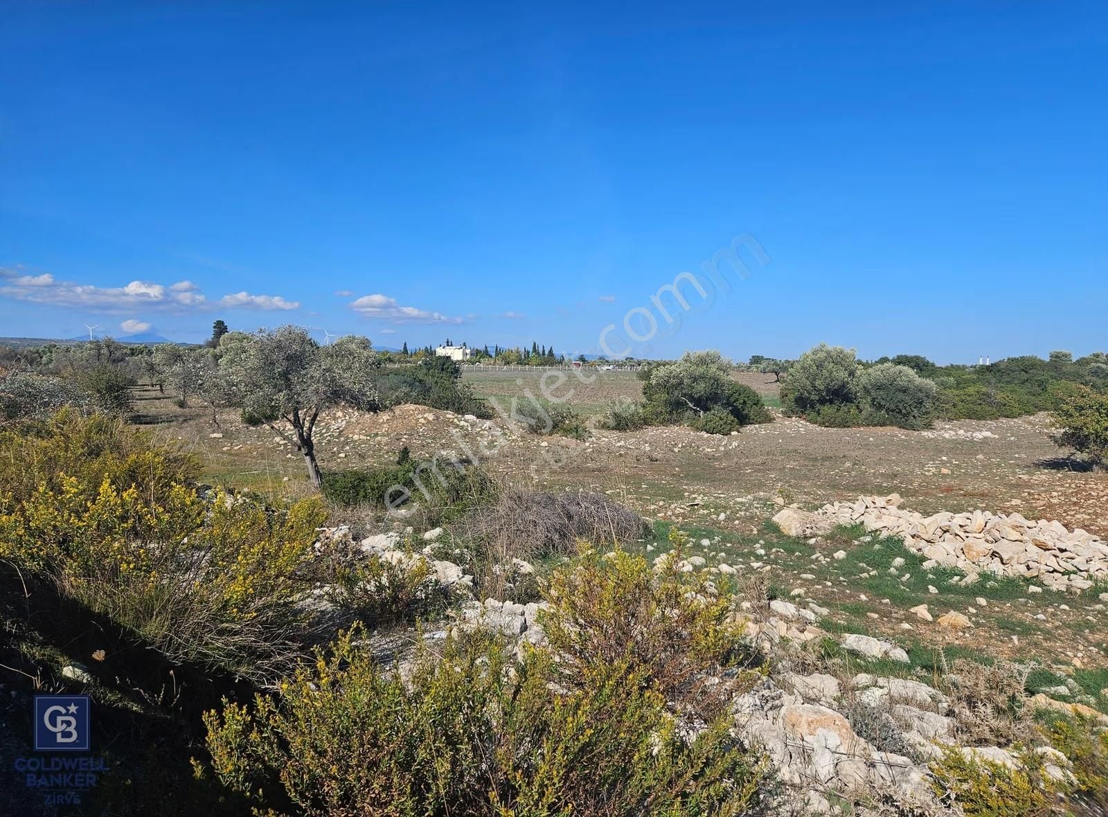 Didim Satılık 25.000 M2 Tarla 109.000.000 Tl - Görsel 13