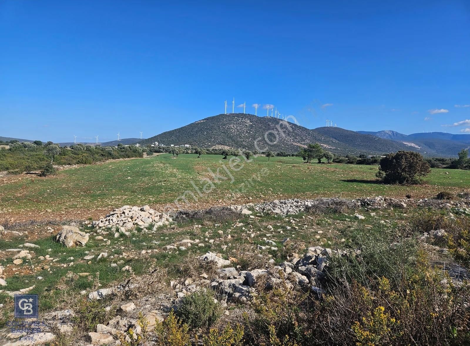 Didim Satılık 25.000 M2 Tarla 109.000.000 Tl - Görsel 24