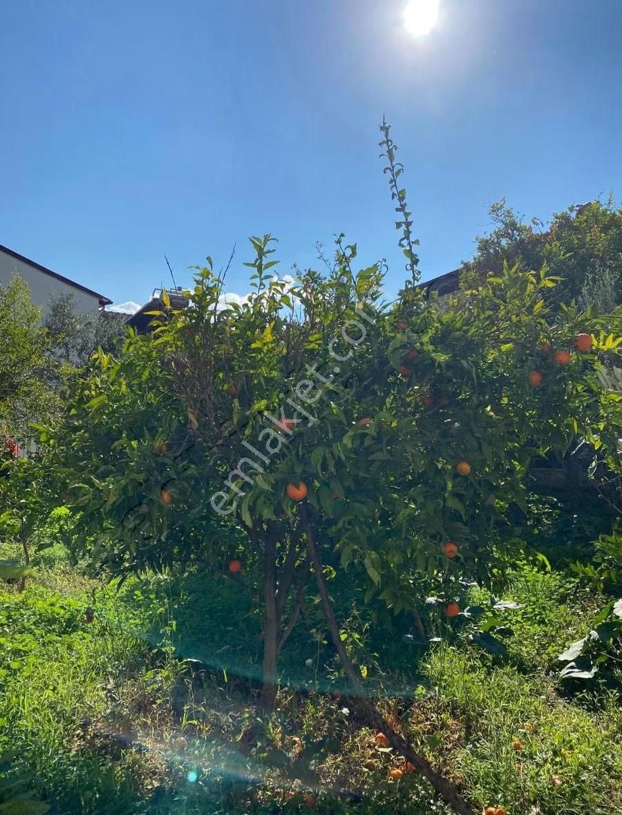 Akyakada Satılık 2+1 Daire - Görsel 2