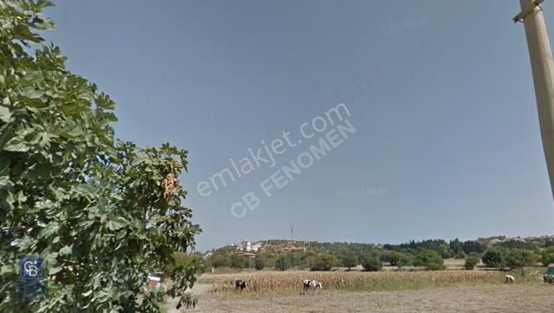 Fenomen'den Çeşme Musallada Fırsat Arsa - Görsel 3