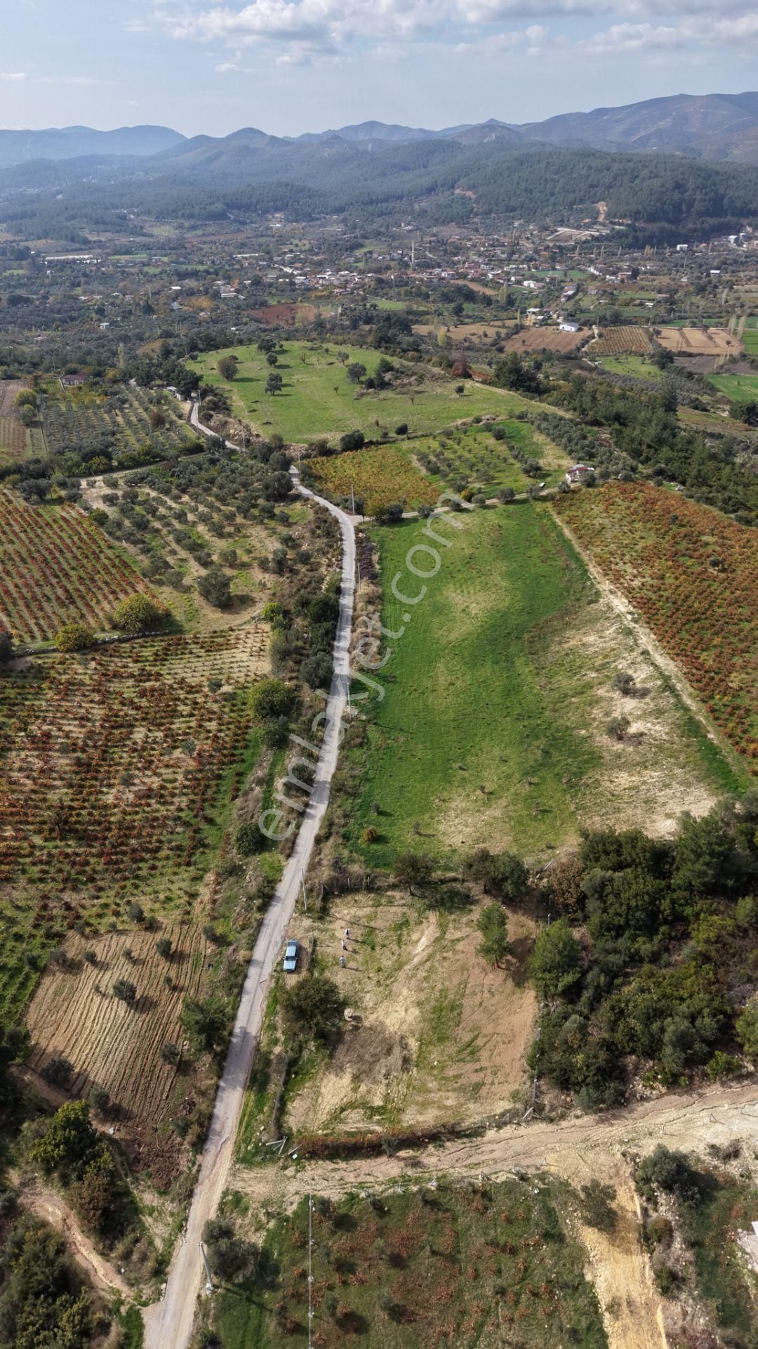 İzmir Çatalcada Satılık Tektapu 1.005 M2 Köye Yakın Elektrik Sulu Çevrili Bahçe - Görsel 18