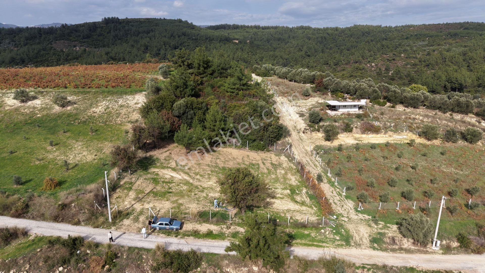 İzmir Çatalcada Satılık Tektapu 1.005 M2 Köye Yakın Elektrik Sulu Çevrili Bahçe - Görsel 3