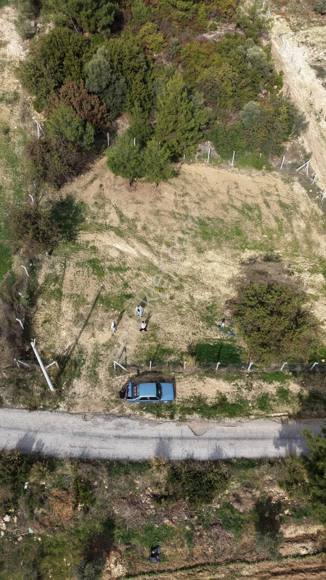 İzmir Çatalcada Satılık Tektapu 1.005 M2 Köye Yakın Elektrik Sulu Çevrili Bahçe - Görsel 21