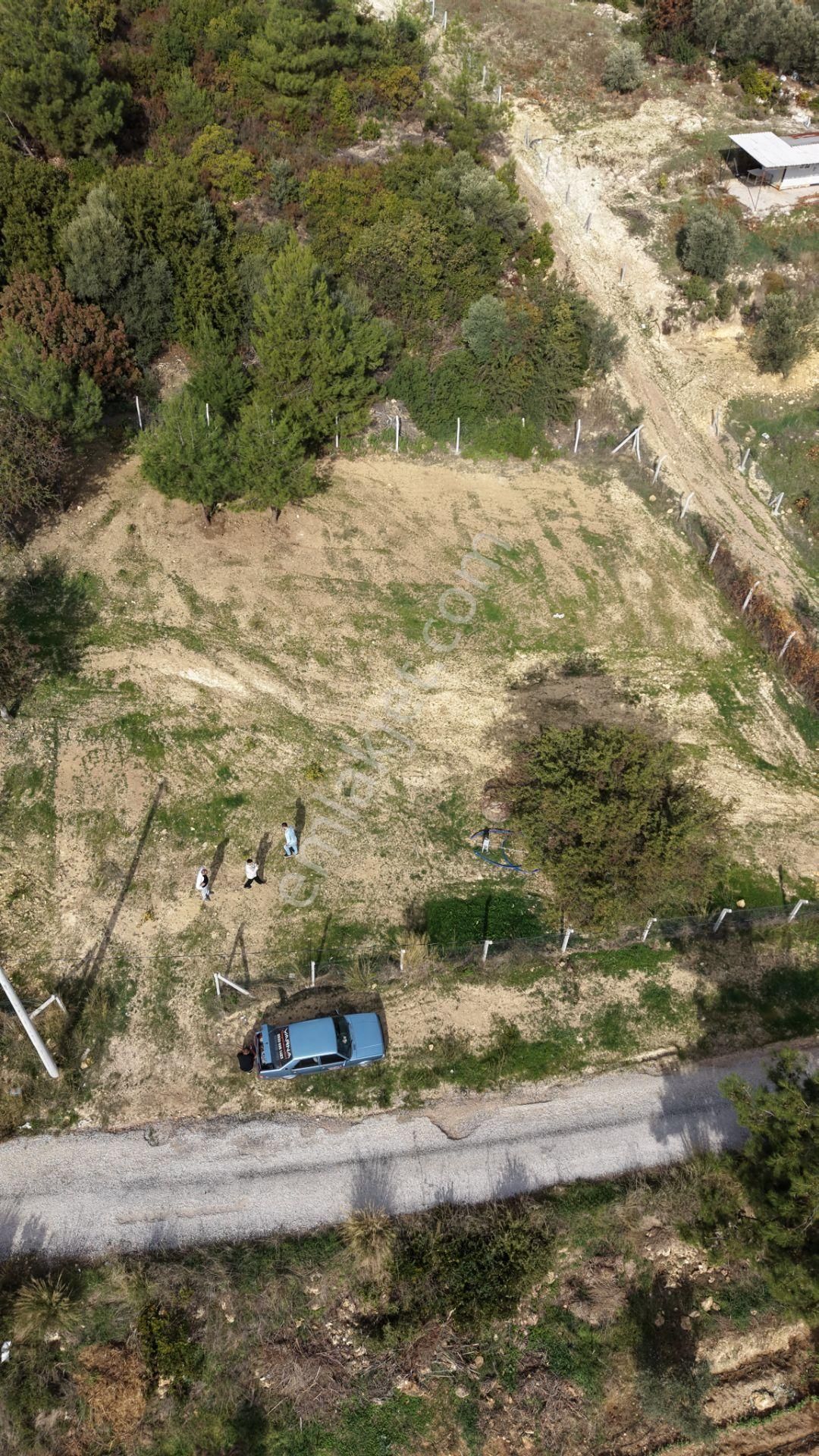 İzmir Çatalcada Satılık Tektapu 1.005 M2 Köye Yakın Elektrik Sulu Çevrili Bahçe - Görsel 20