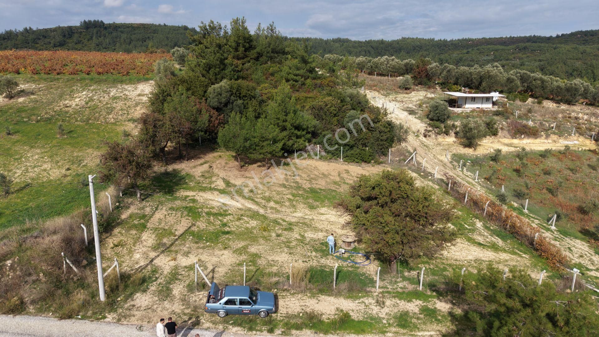 İzmir Çatalcada Satılık Tektapu 1.005 M2 Köye Yakın Elektrik Sulu Çevrili Bahçe