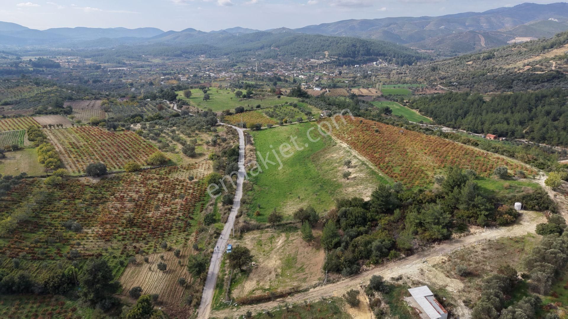 İzmir Çatalcada Satılık Tektapu 1.005 M2 Köye Yakın Elektrik Sulu Çevrili Bahçe - Görsel 7