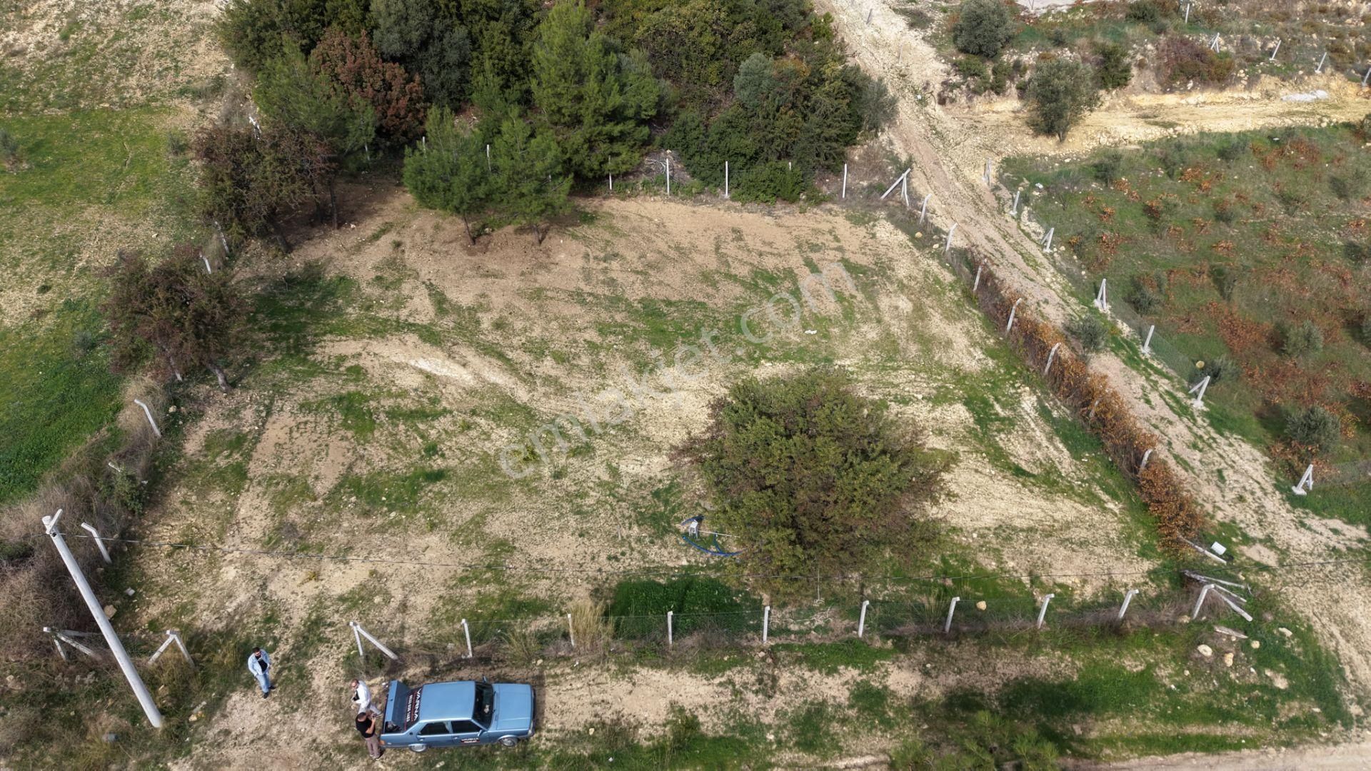 İzmir Çatalcada Satılık Tektapu 1.005 M2 Köye Yakın Elektrik Sulu Çevrili Bahçe - Görsel 11