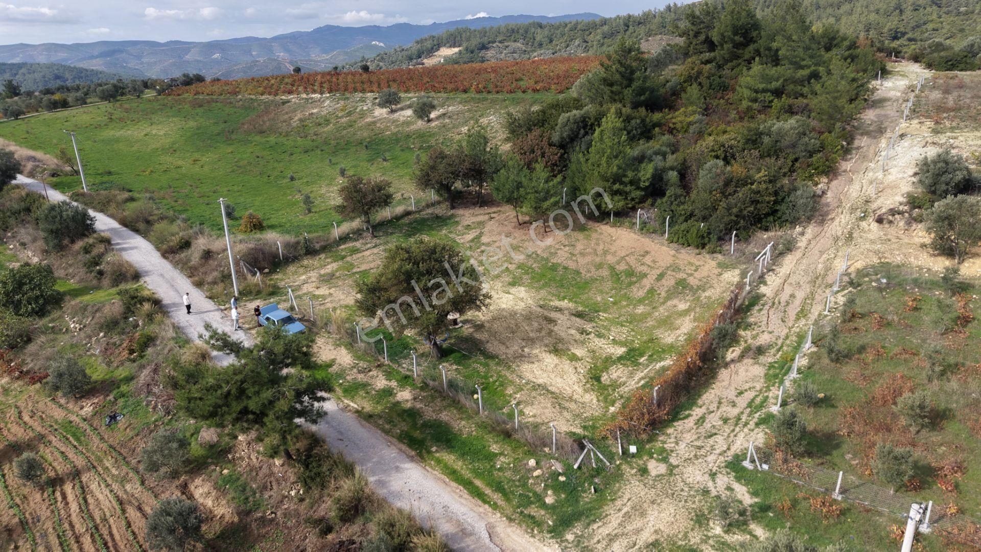 İzmir Çatalcada Satılık Tektapu 1.005 M2 Köye Yakın Elektrik Sulu Çevrili Bahçe - Görsel 9